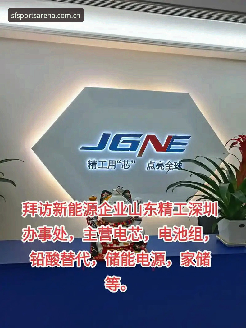 揭秘顺发体育平台体验真相：用户背后的选择逻辑与必备指南