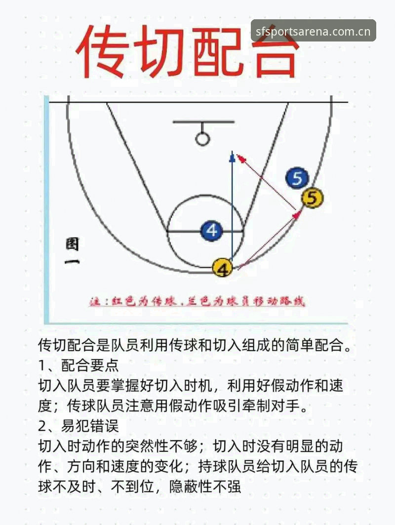 顺发体育平台全面解析：常见问题与实战操作指南